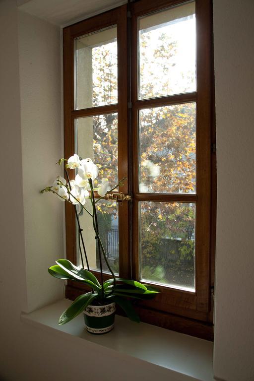Charming Geneva Daire Dış mekan fotoğraf